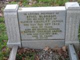image of grave number 117241